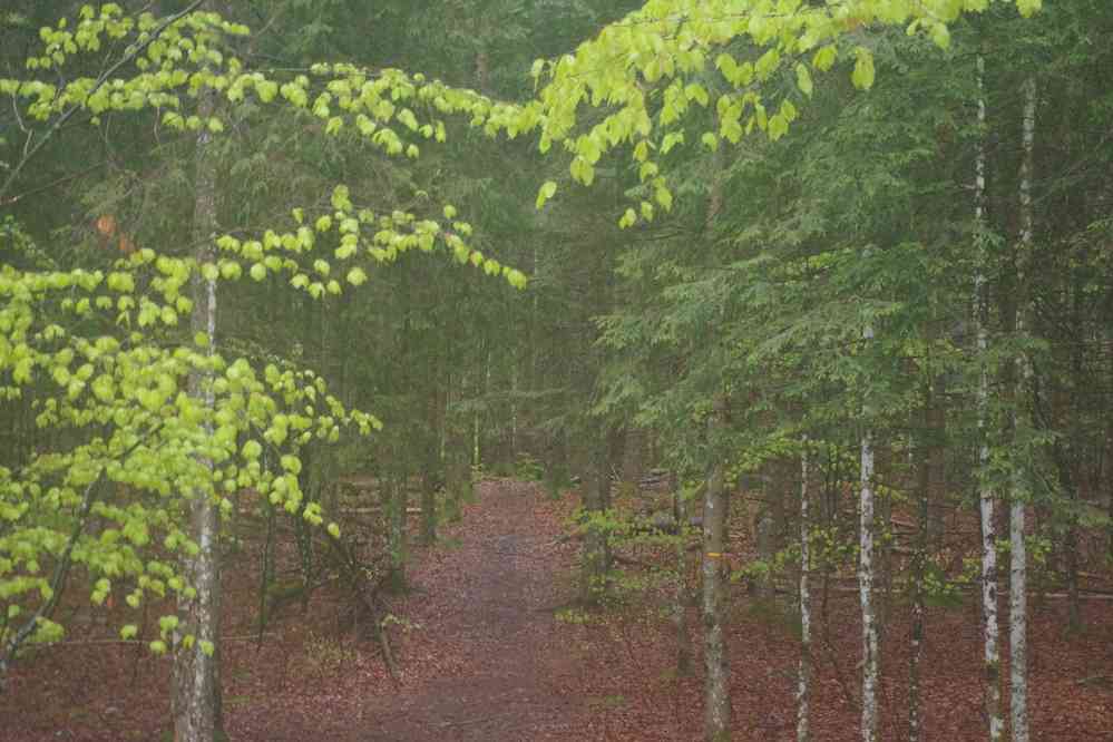 Mon appareil résiste à l’eau. Le mercredi 8 mai 2019
