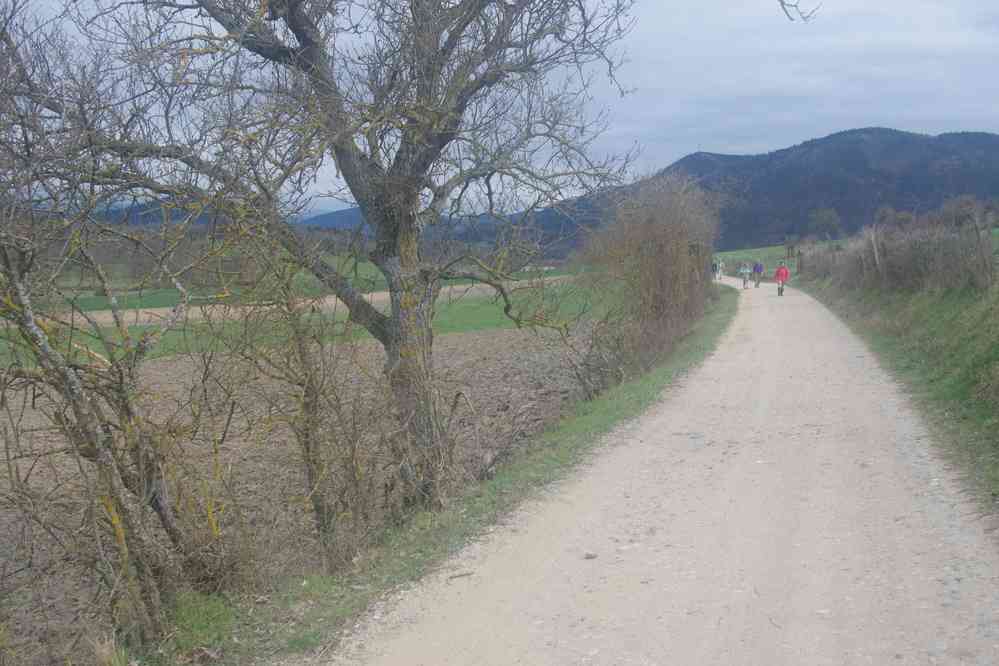 Randonnée plus plate l’après-midi. Le vendredi 25 mars 2016