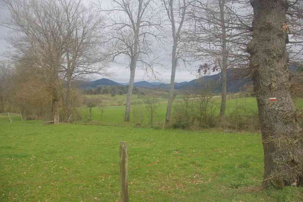 GR. Le vendredi 25 mars 2016