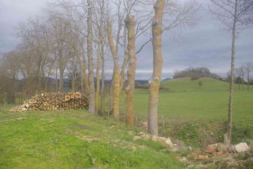 Le soleil tente une percée. Le vendredi 25 mars 2016
