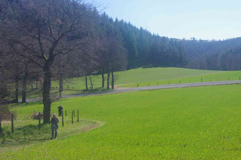 On se demande ce qu’ils cultivent pour obtenir un vert pareil !. Le samedi 26 mars 2016