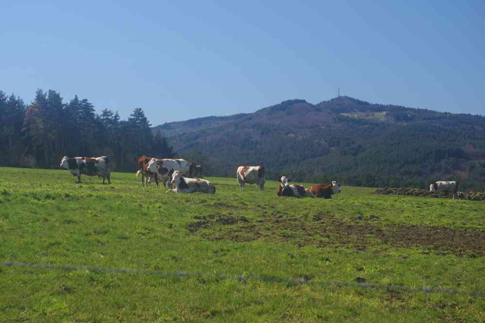 Ya pas ça à Paris !. Le samedi 26 mars 2016
