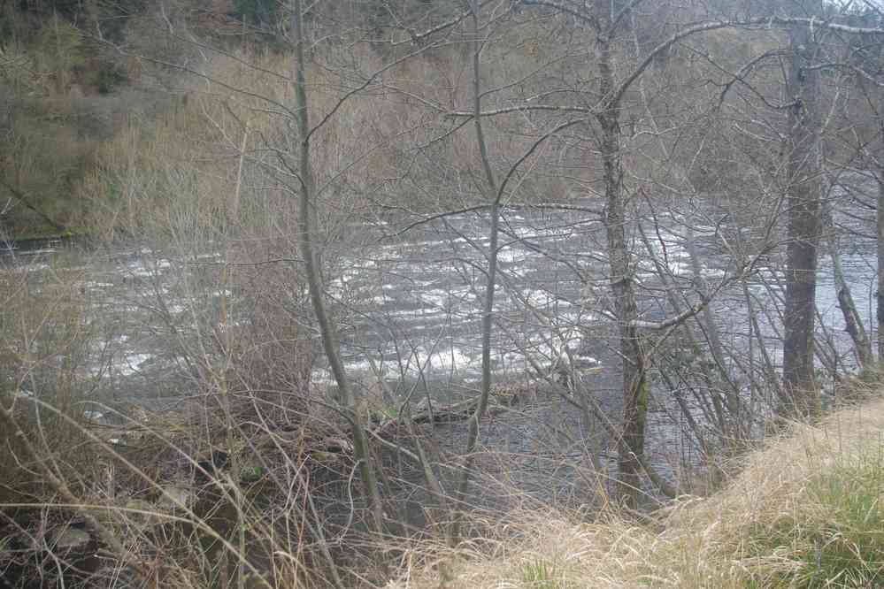 La photo où il y avait le train elle est ratée !. Le lundi 28 mars 2016