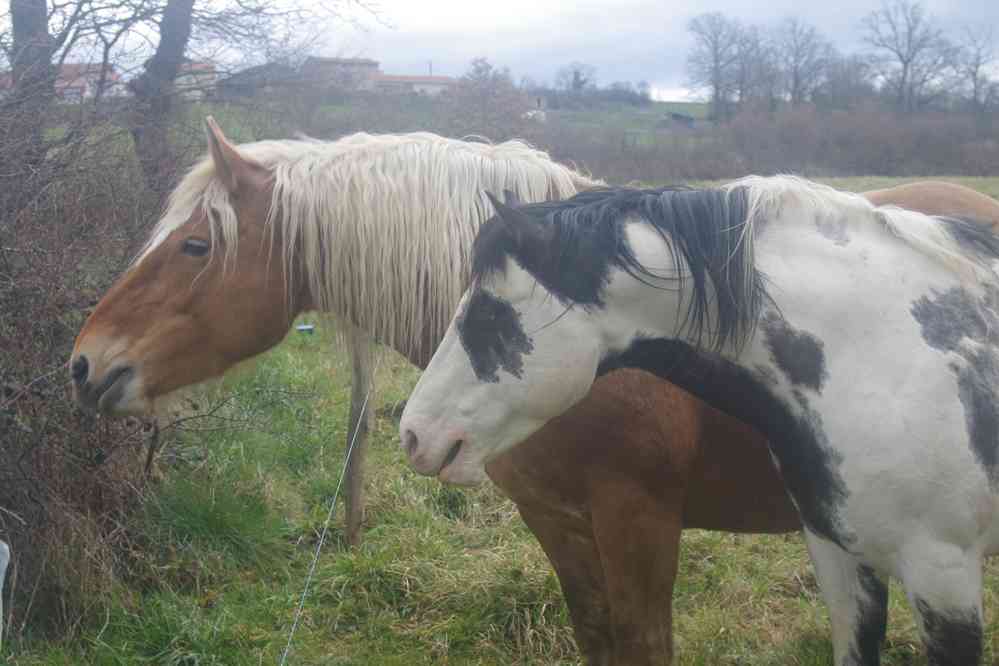Va-t-on avoir à manger ?. Le lundi 28 mars 2016