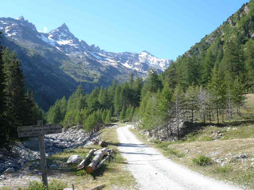 Au plan de la Vie en bas du vallon d’Ambin, avant d’attaquer la remontée. Le dimanche 12 juillet 2009