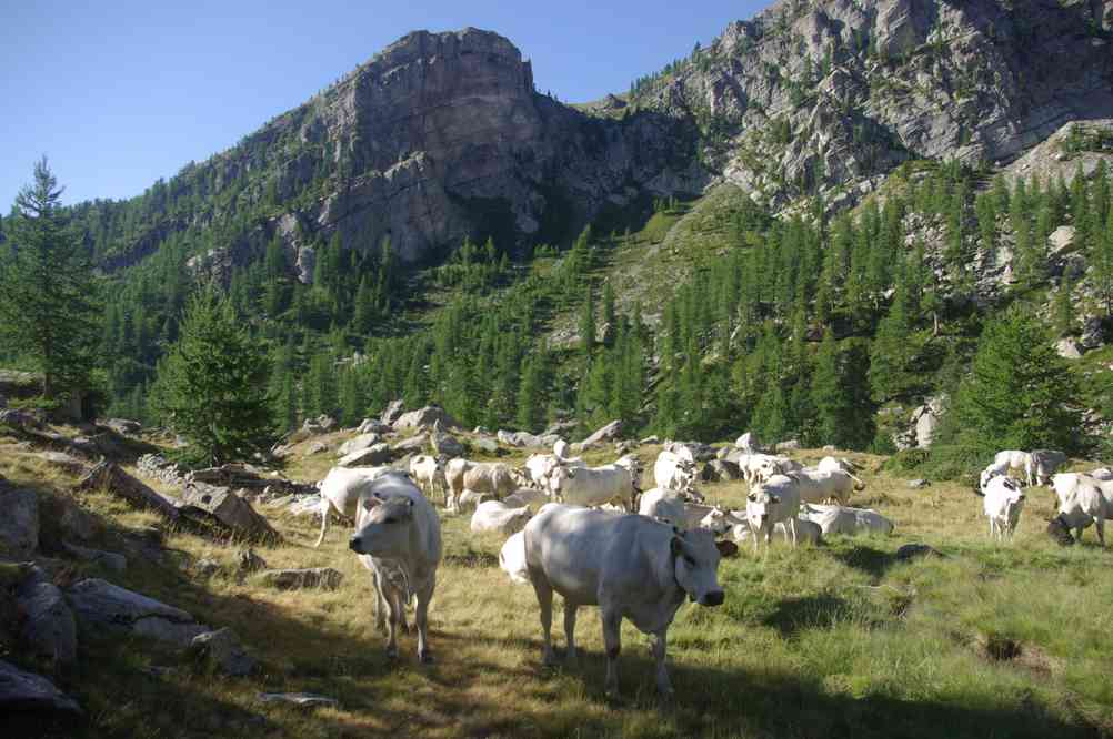 La vallée de Fontanalbe. Le dimanche 29 juillet 2012