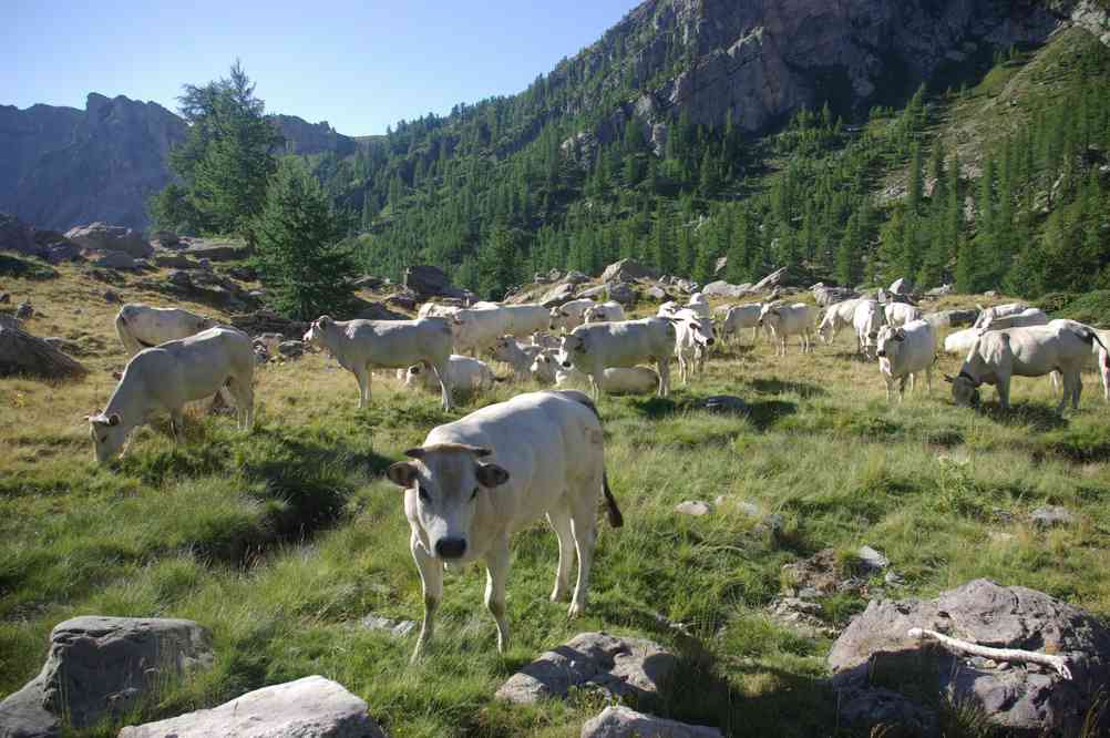 La vallée de Fontanalbe. Le dimanche 29 juillet 2012