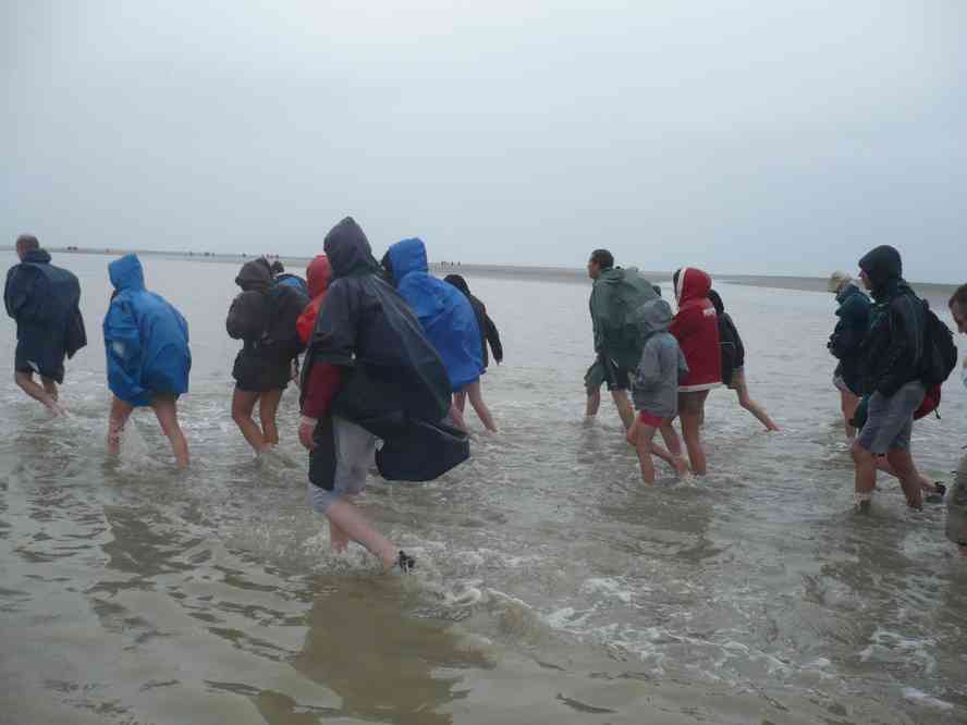 C’est bizarre mais avec le troupeau ça ne fait pas le même effet ! Le dimanche 12 juin 2011