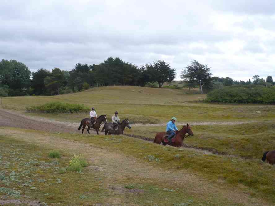 Un autre genre de sportifs... Le lundi 13 juin 2011
