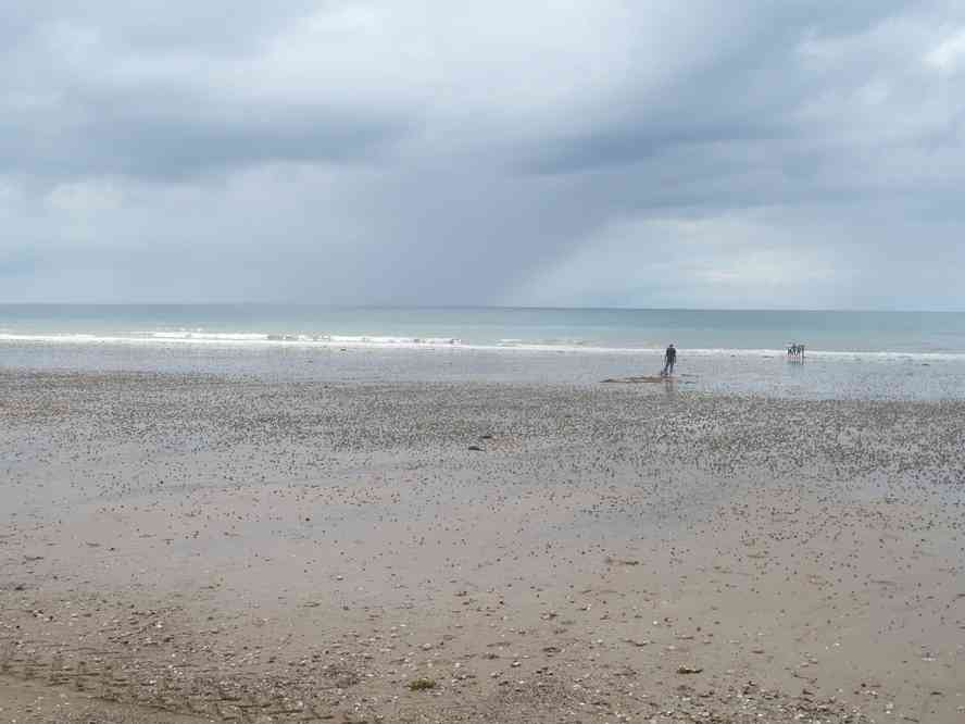 On pourrait bien devoir ressortir les capes... Le lundi 13 juin 2011