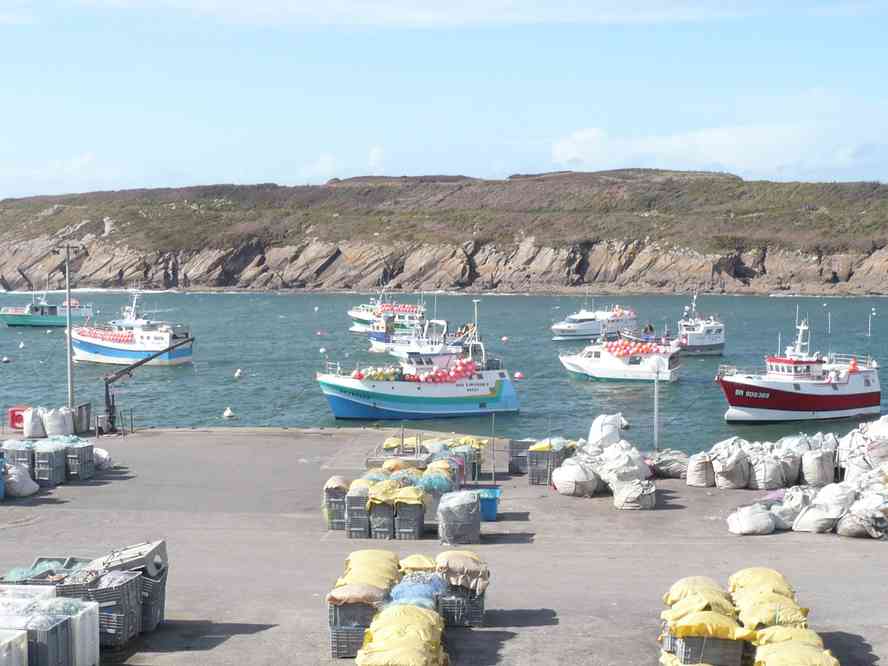 Le port du Conquet. Le vendredi 2 avril 2010
