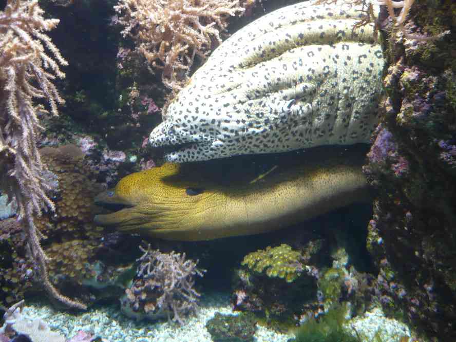 Quelques petites bêtes bien sympathiques... Le lundi 5 avril 2010