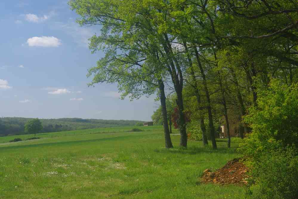 Entre Faycelles et Béduer. Le vendredi 14 avril 2017