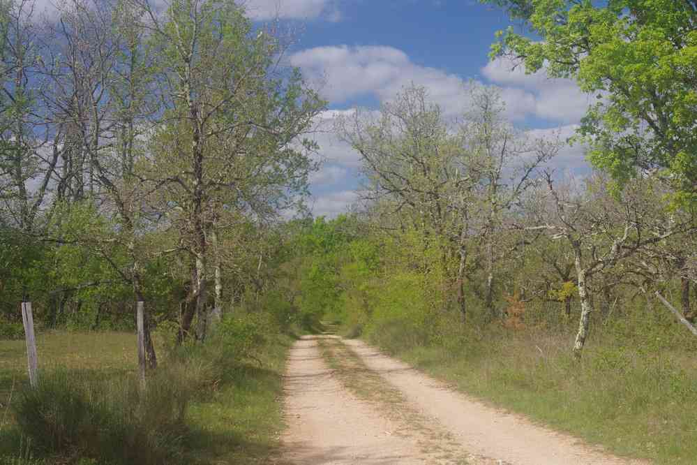 Vers Poudally. Le dimanche 16 avril 2017