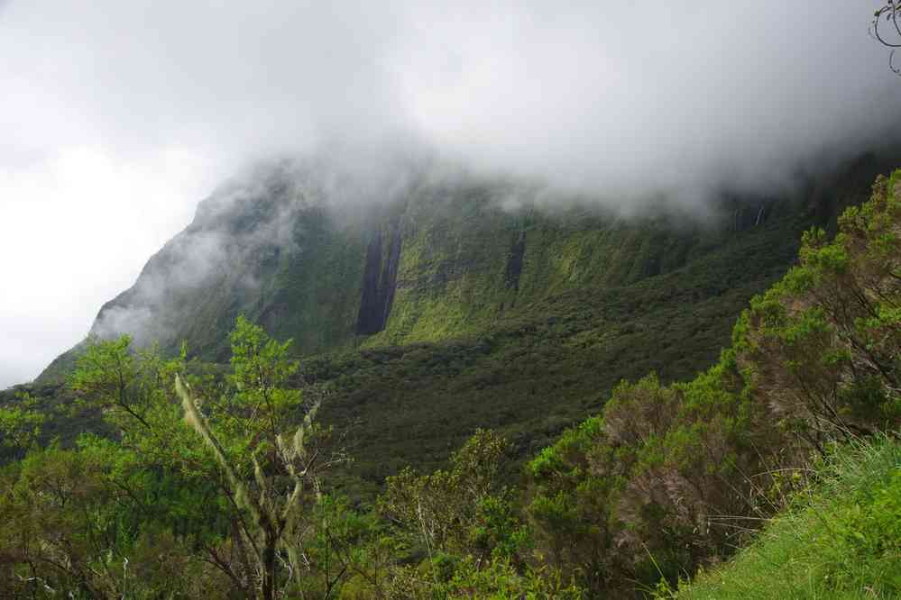Montée vers le col de la Fourche. Le dimanche 3 mai 2015