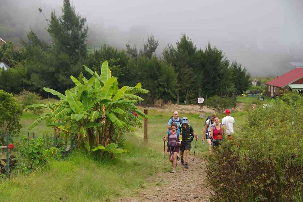 La Nouvelle. Le dimanche 3 mai 2015