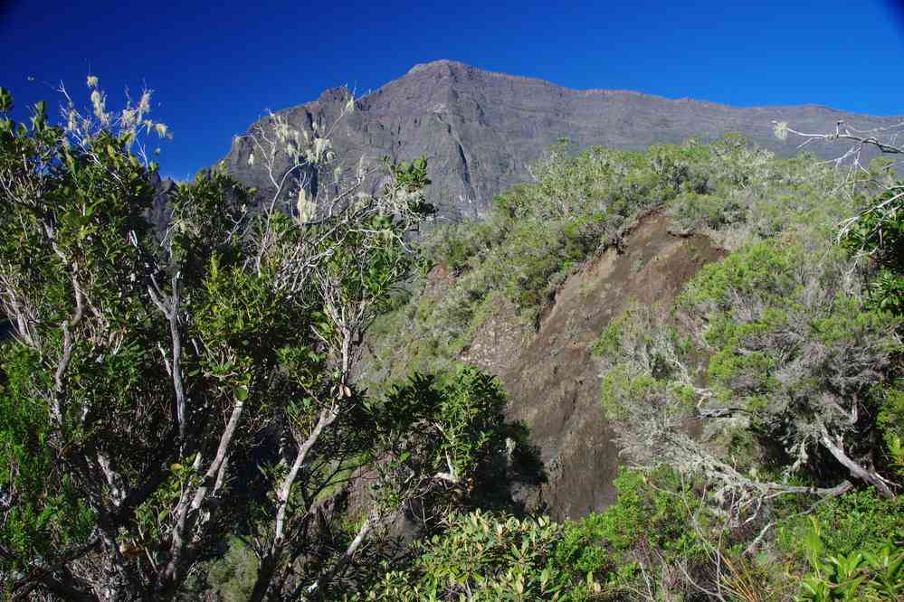 Montée vers Marla (cirque de Mafate). Le lundi 4 mai 2015