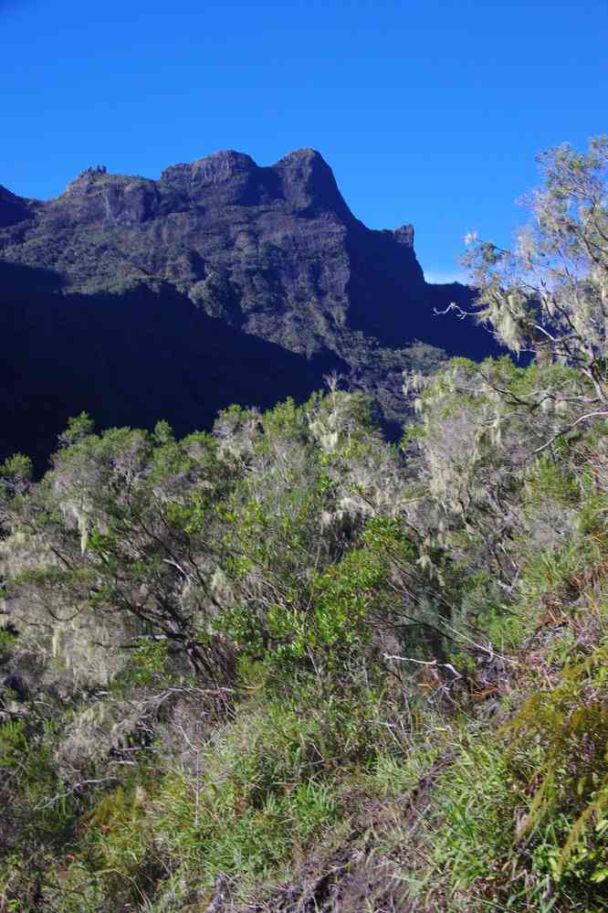 Montée vers Marla (cirque de Mafate). Le lundi 4 mai 2015