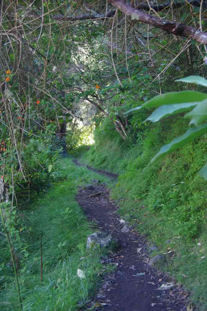 Montée vers Marla (cirque de Mafate). Le lundi 4 mai 2015