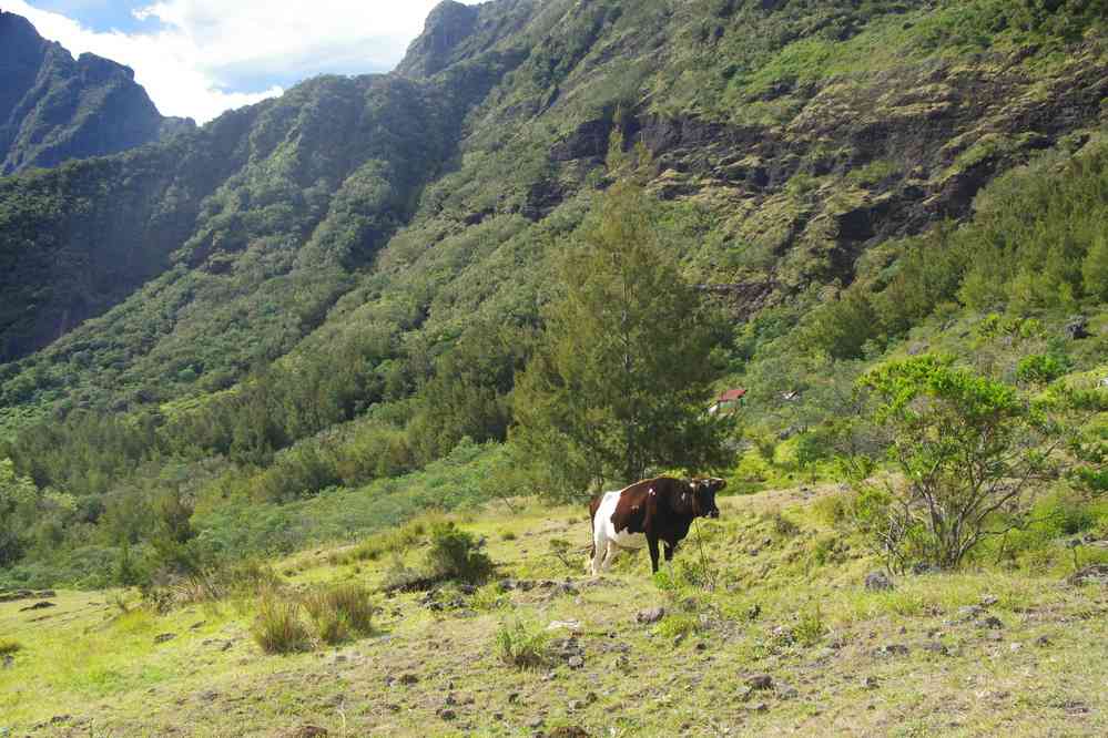 Montée vers le col de Taïbit. Le lundi 4 mai 2015