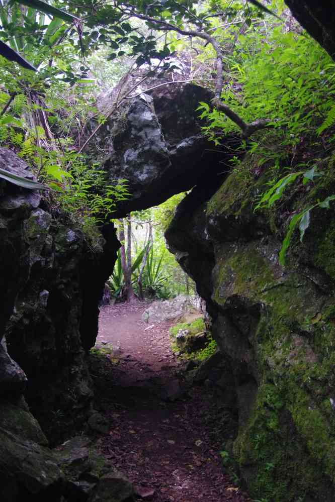 Sentier du bras des Étangs. Le lundi 4 mai 2015