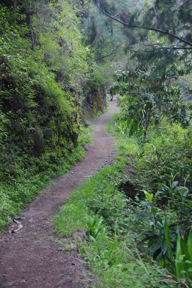 Sentier du bras des Étangs. Le lundi 4 mai 2015