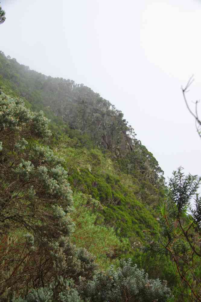 Montée au gîte dans le brouillard. Le mardi 5 mai 2015