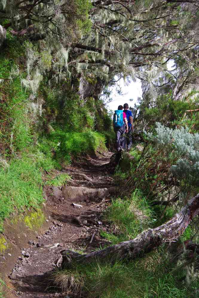 Montée au gîte dans le brouillard. Le mardi 5 mai 2015