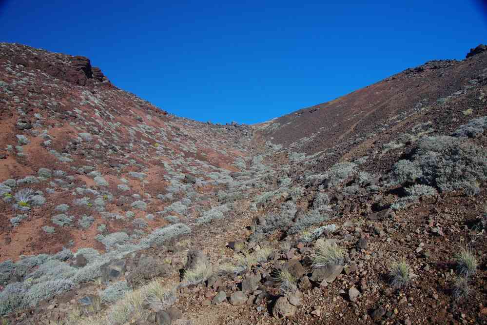 Descente du piton des Neiges. Le mercredi 6 mai 2015
