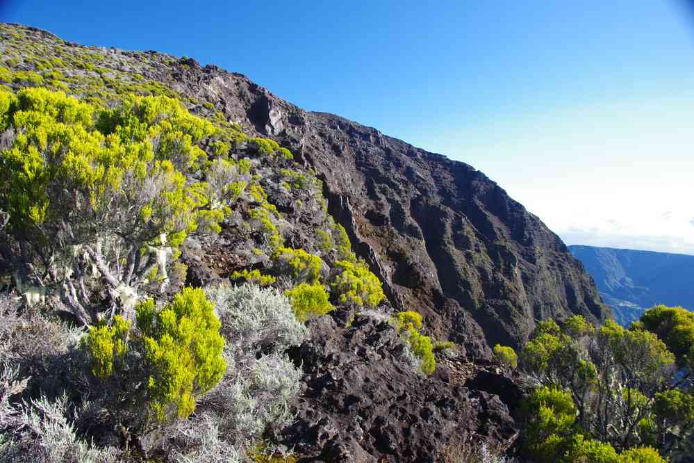Pendant la descente du piton des Neiges. Le mercredi 6 mai 2015