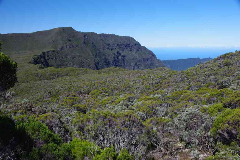 La crête (coteau Kervéguen), pendant la descente. Le mercredi 6 mai 2015