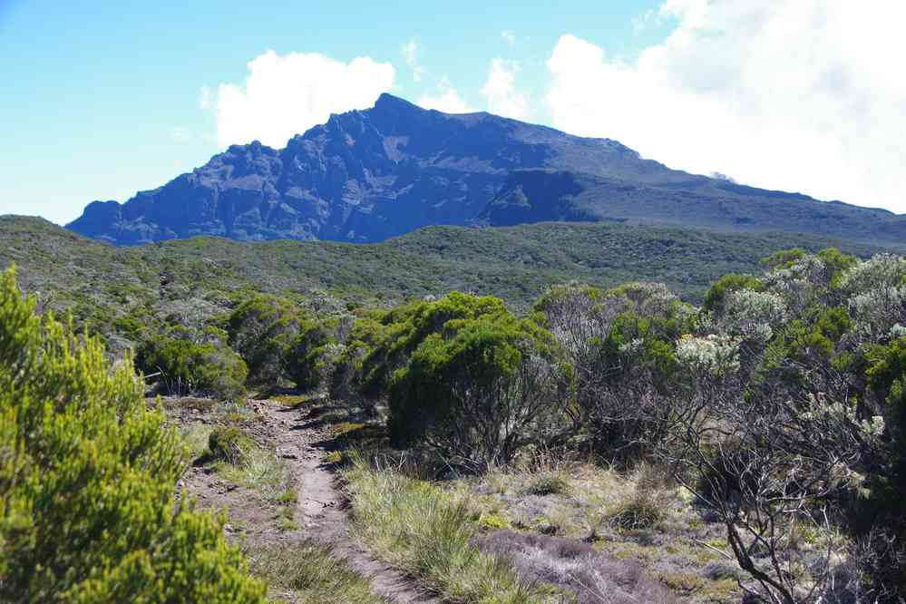 Depuis la crête (coteau Kervéguen), pendant la descente. Vue vers le piton des Neiges. Le mercredi 6 mai 2015