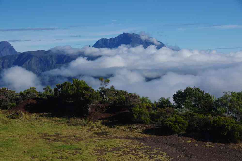 Montée en véhicule vers le piton de la Fournaise. Vue vers le piton des Neiges. Le jeudi 7 mai 2015