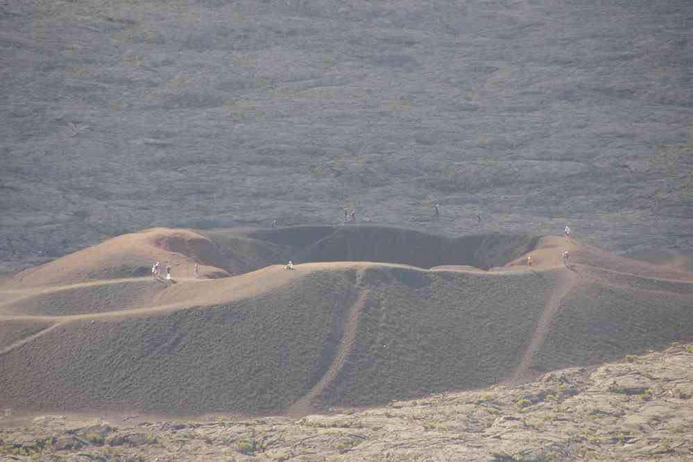 Formica Léo (c’est du latin). Le jeudi 7 mai 2015