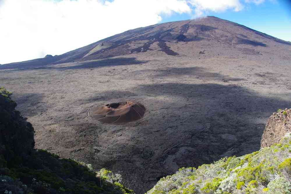 Pendant la descente dans l’enclos (en bas Formica Léo). Le jeudi 7 mai 2015