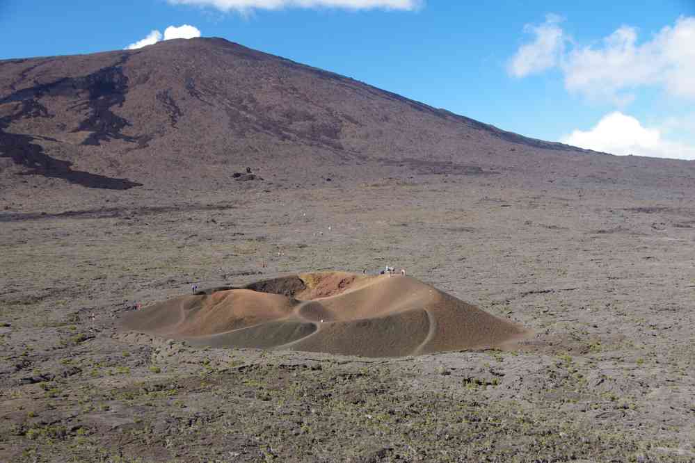 Formica Léo. Le jeudi 7 mai 2015