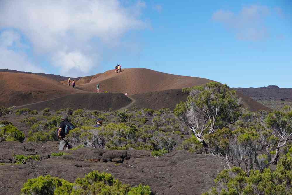 Formica Léo. Le jeudi 7 mai 2015