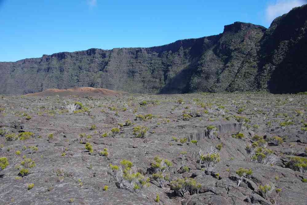 Progression dans l’enclos. Le jeudi 7 mai 2015