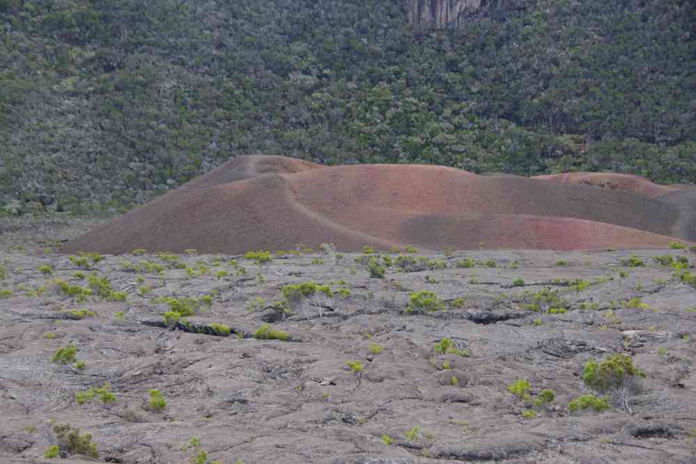 Formica Léo… après le départ de ses touristes !. Le jeudi 7 mai 2015