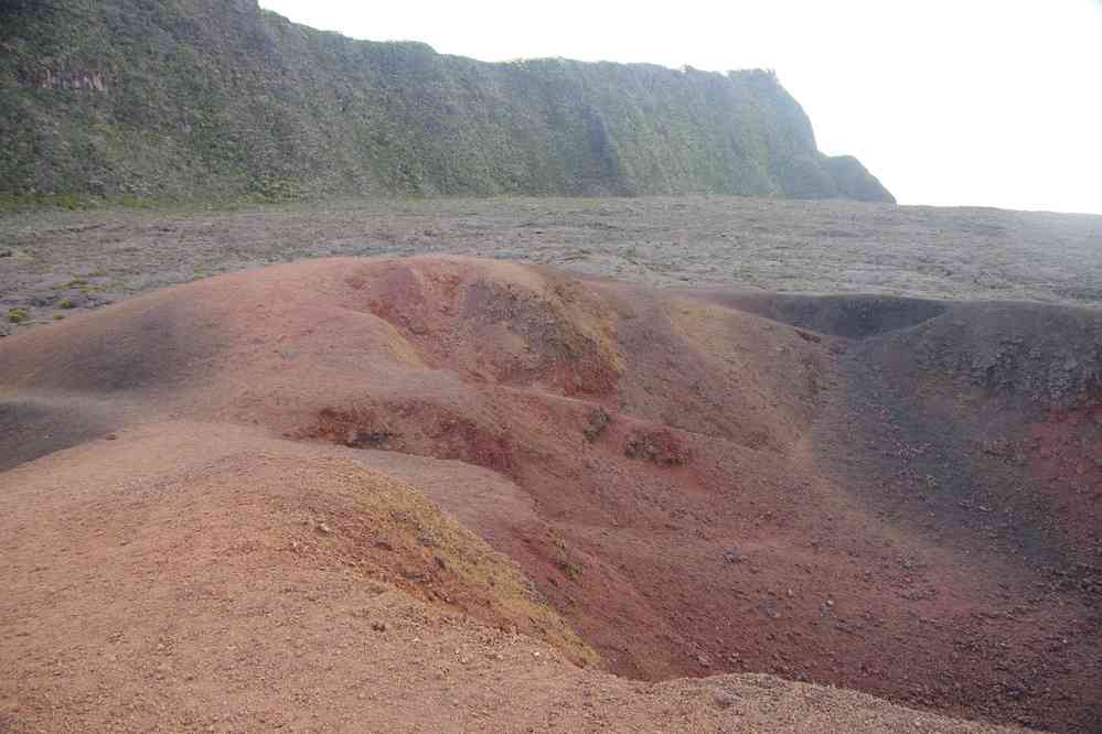 J’ai Formica Léo pour moi tout seul !. Le jeudi 7 mai 2015