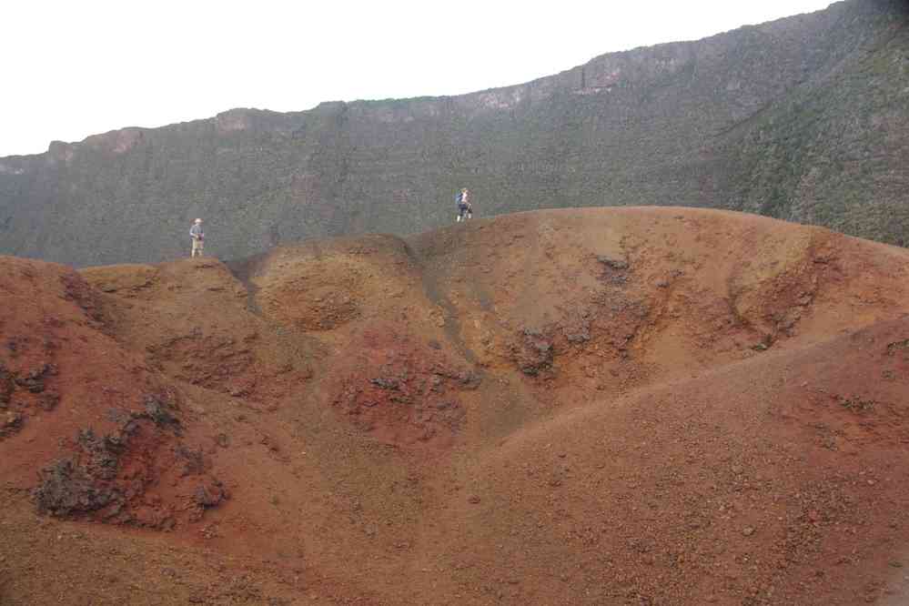 Formica Léo (le renfort arrive). Le jeudi 7 mai 2015