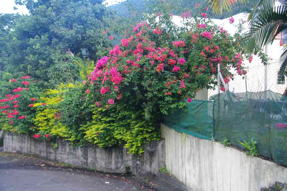 Grand Galet. Le vendredi 8 mai 2015