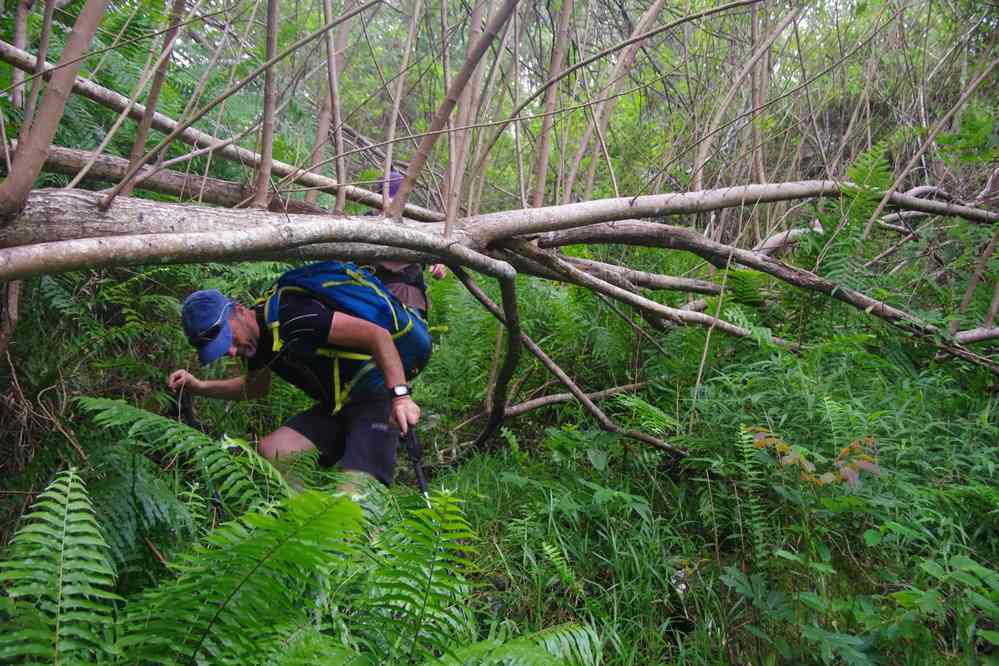 Pour ceux qui en redemandent, passage scabreux vers la cascade du Trou Noir. Le vendredi 8 mai 2015