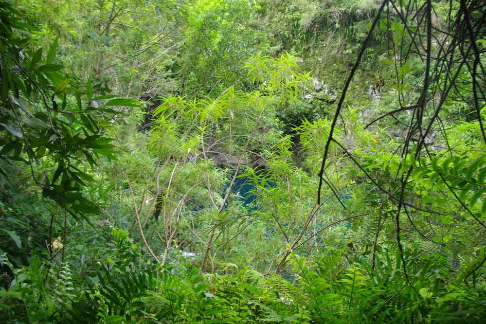 Vers la cascade du Trou Noir. Le vendredi 8 mai 2015