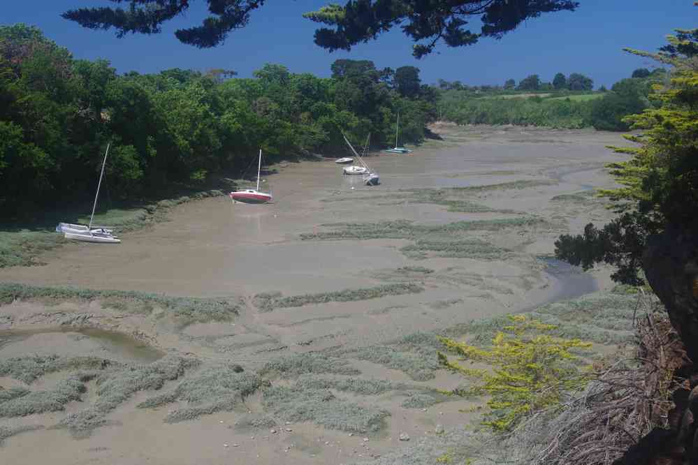 Havre du Lupin. Le jeudi 25 mai 2017