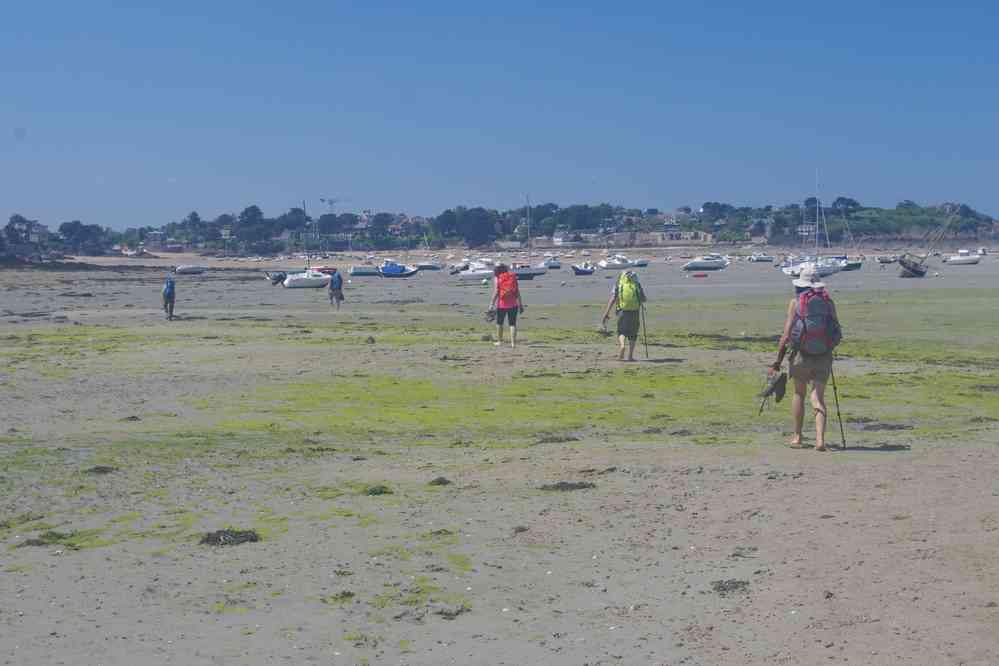 Havre du Lupin. Le jeudi 25 mai 2017