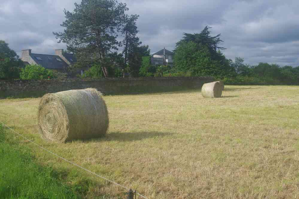 Troisième jour, le temps se dégrade. Le timing aussi, c’est marée haute et nous devons contourner toutes les baies. Le samedi 27 mai 2017