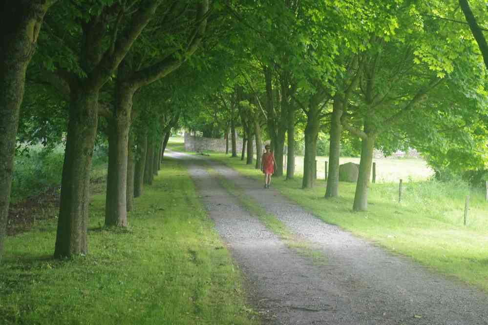 Près de la ferme du Breil. Le samedi 27 mai 2017
