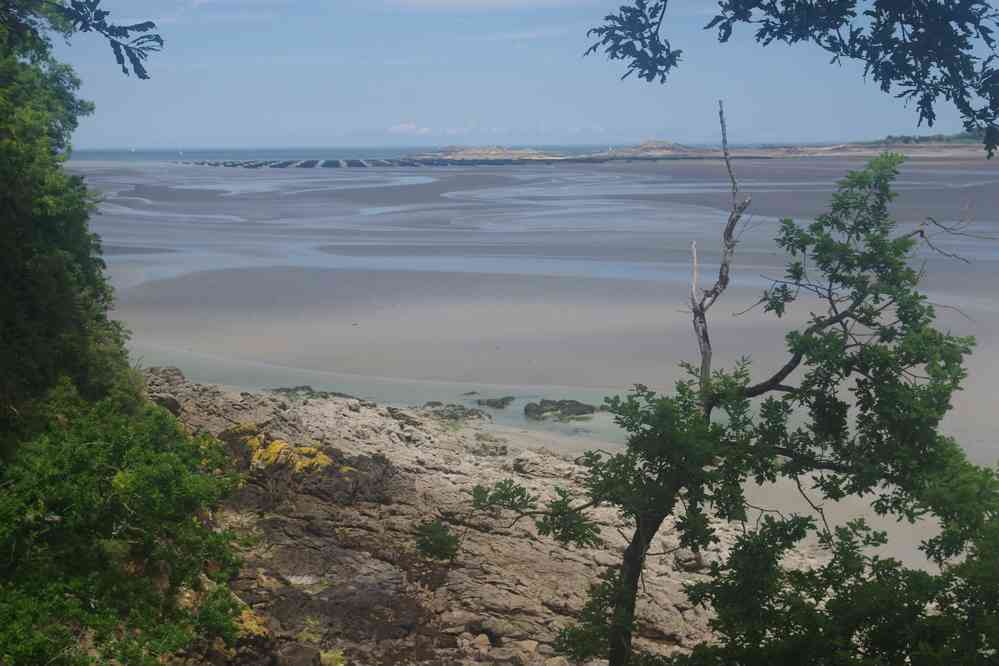 La baie est totalement à sec maintenant ! Le samedi 27 mai 2017