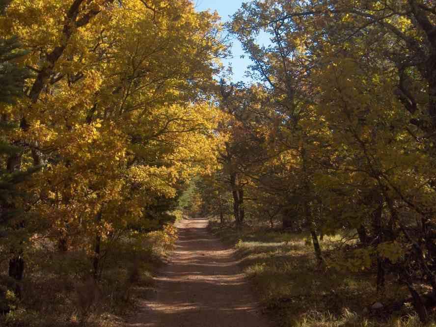 On entendait le circuit du Castellet ! Le jeudi 1ᵉʳ novembre 2007